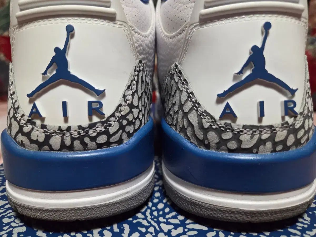 ナイキ ジョーダン3 レトロ TRUE ブルー コーパ 265 シューズ(男性用) バスケットボール スポーツ
