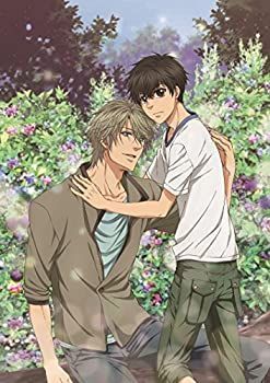 【】SUPER LOVERS 2第4巻限定版 [Blu-ray]