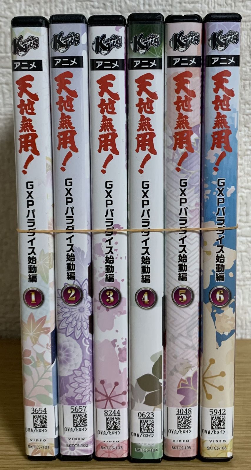 天地無用!GXP パラダイス始動編 DVD全巻セット - メルカリ