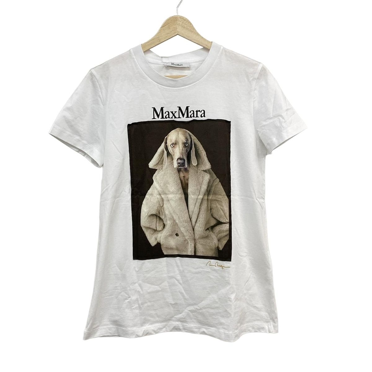 Max Mara マックスマーラ 半袖Tシャツ サイズM - 白×マルチ 半袖 クルーネック 転写プリント イヌ