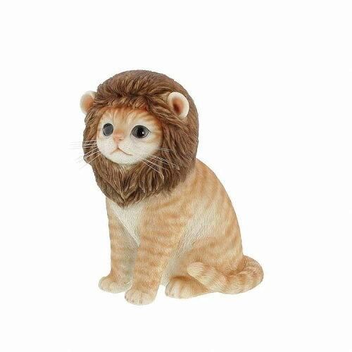 Super Special Price ベニーズキャット QB-026 Y 入数 6