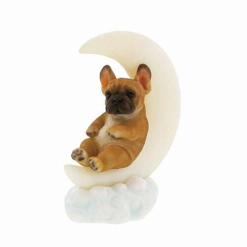 Super Special Price ムーンライトフレンチブル QB-015 B 入数 6