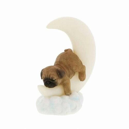 Super Special Price ムーンライトパグ QB 015 A 入数 6