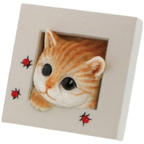 Super Special Price ベニーズキャットひょっこり QB-013 Y 入数 6