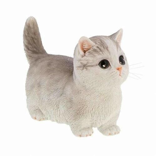 Super Special Price ベニーズキャット QB 011 GR 入数 6