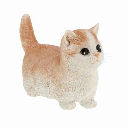 Super Special Price ベニーズキャット QB-011 BR 入数 6