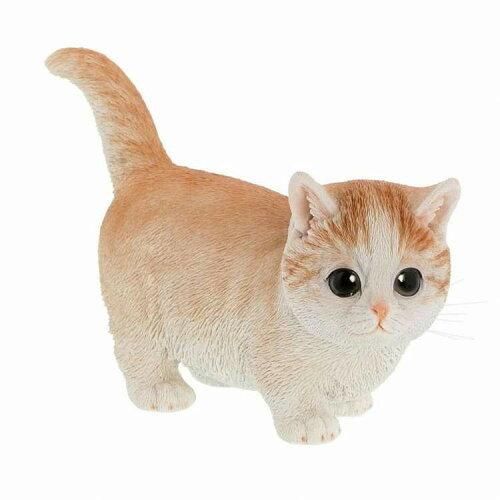 Super Special Price ベニーズキャット QB-010 BR 入数 6