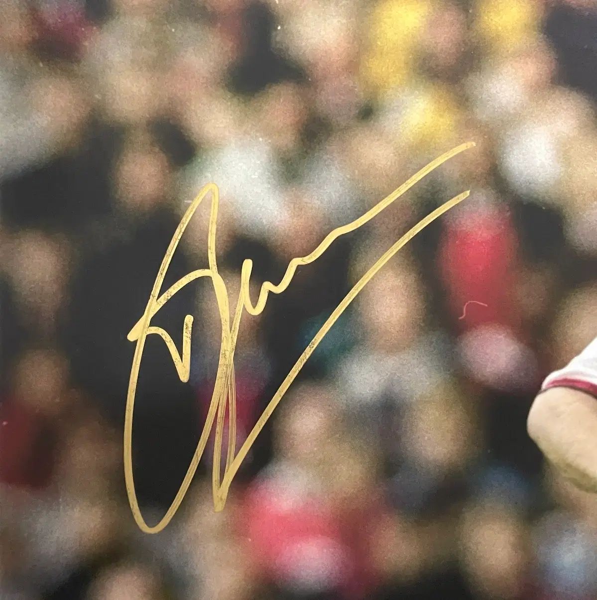 ICONS 販売 デニス・ベルカンプ アイコンズ サイン入り アーセナル