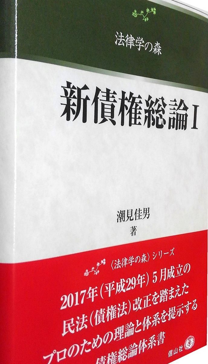 新債権総論1(法律学の森)