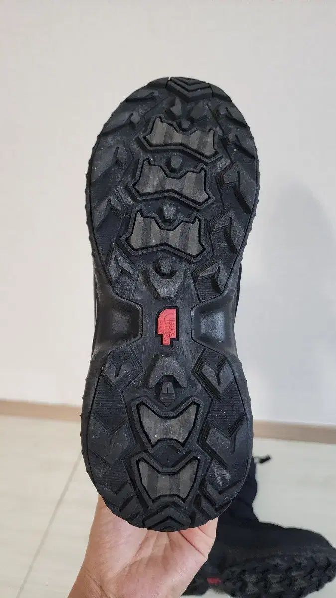 FACE ザノースフェイス