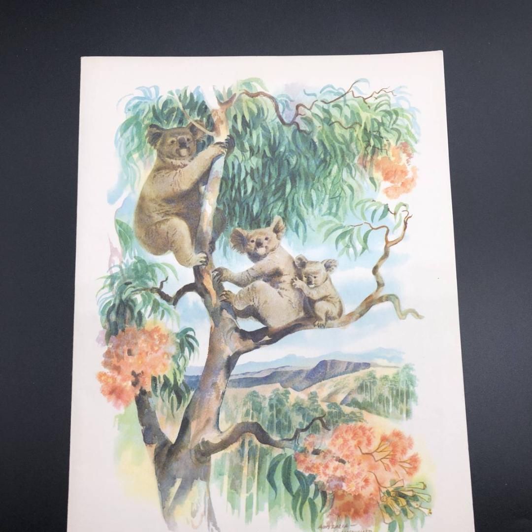 マトソンライン メニュー 1967年 ハワイアン ビンテージ 客船 (MATSON