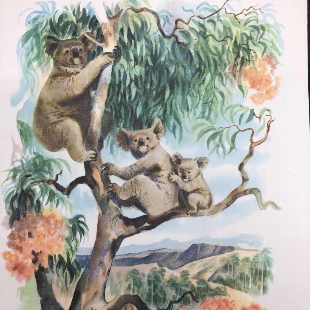 マトソンライン メニュー 1967年 ハワイアン ビンテージ 客船 (MATSON