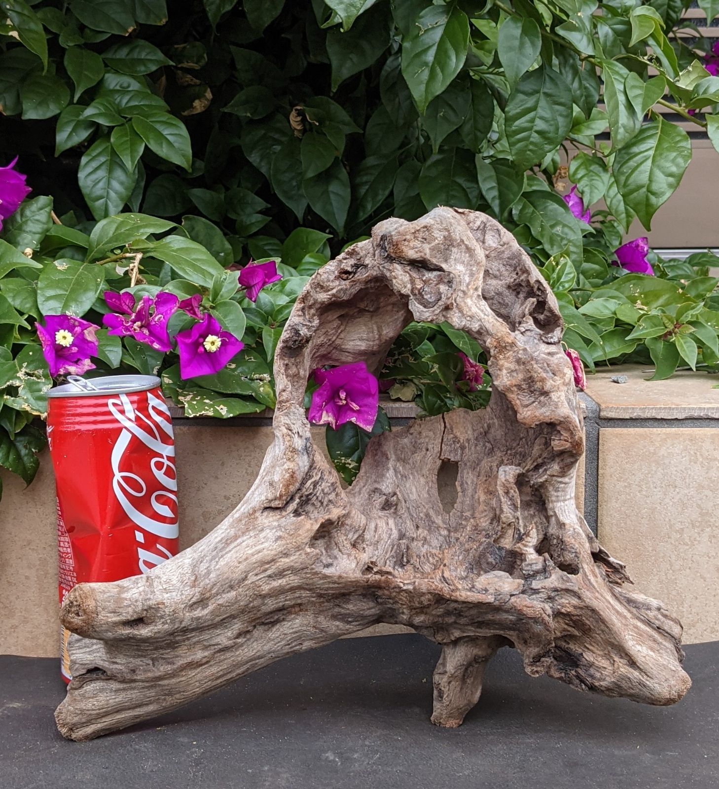 A8天然流木【中型】レイアウト用品、アク抜き済（沈水しません