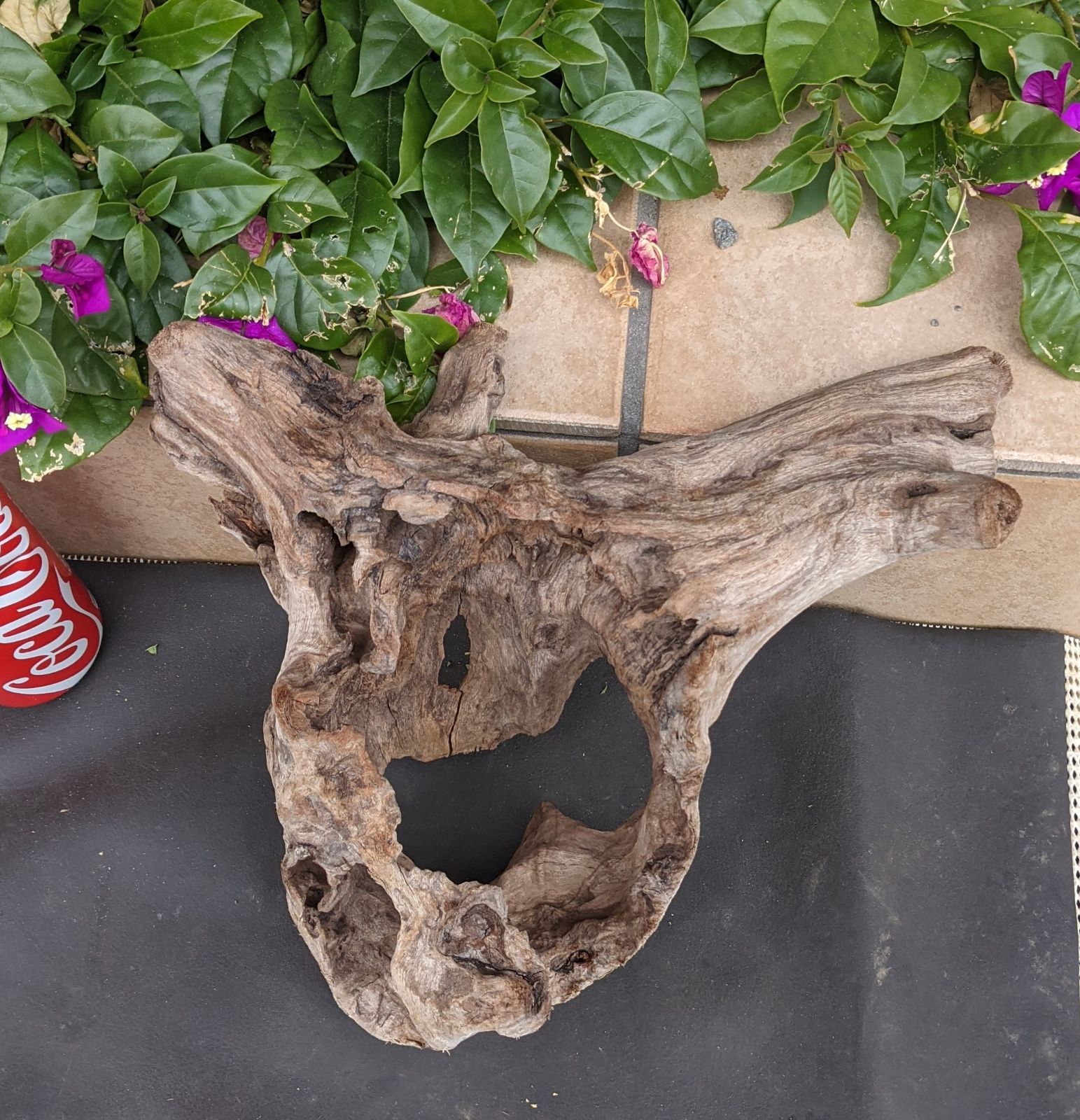 A8天然流木【中型】レイアウト用品、アク抜き済（沈水しません