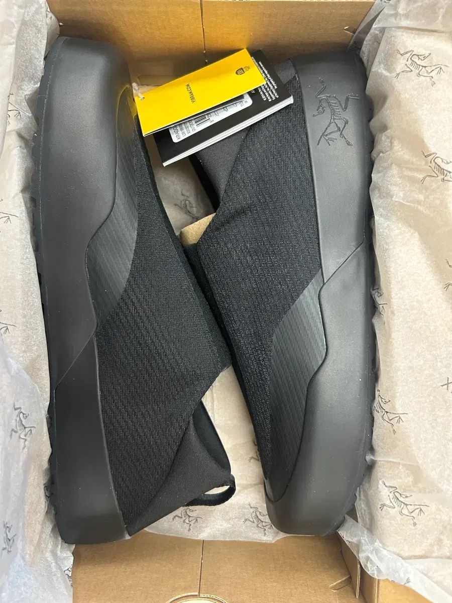 ARC TERYX アークテリクス クレイグ シュー 300