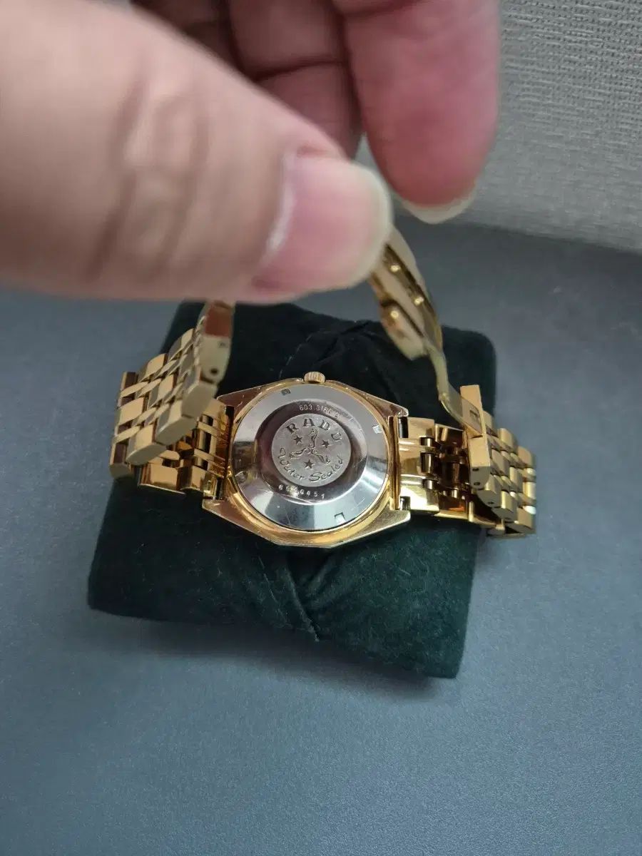 Companion ヴィンテージ