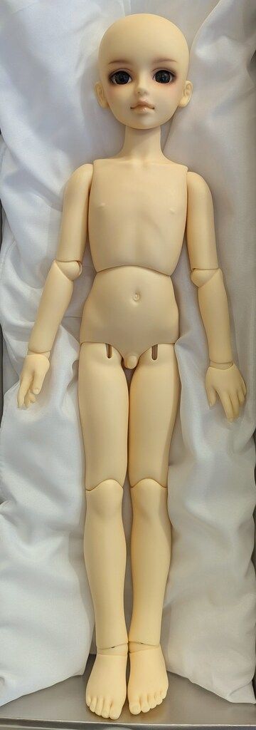 ボークス MSD男の子 フルチョイス F-09 ノーマル肌