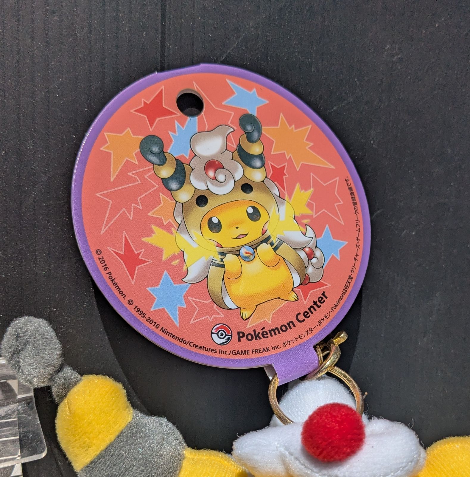 ぬいぐるみ メガデンリュウのポンチョを着たピカチュウ　ポケモンセンター ポケモンセンター限定 ポンチョを着たピカチュウ マスコット メガ