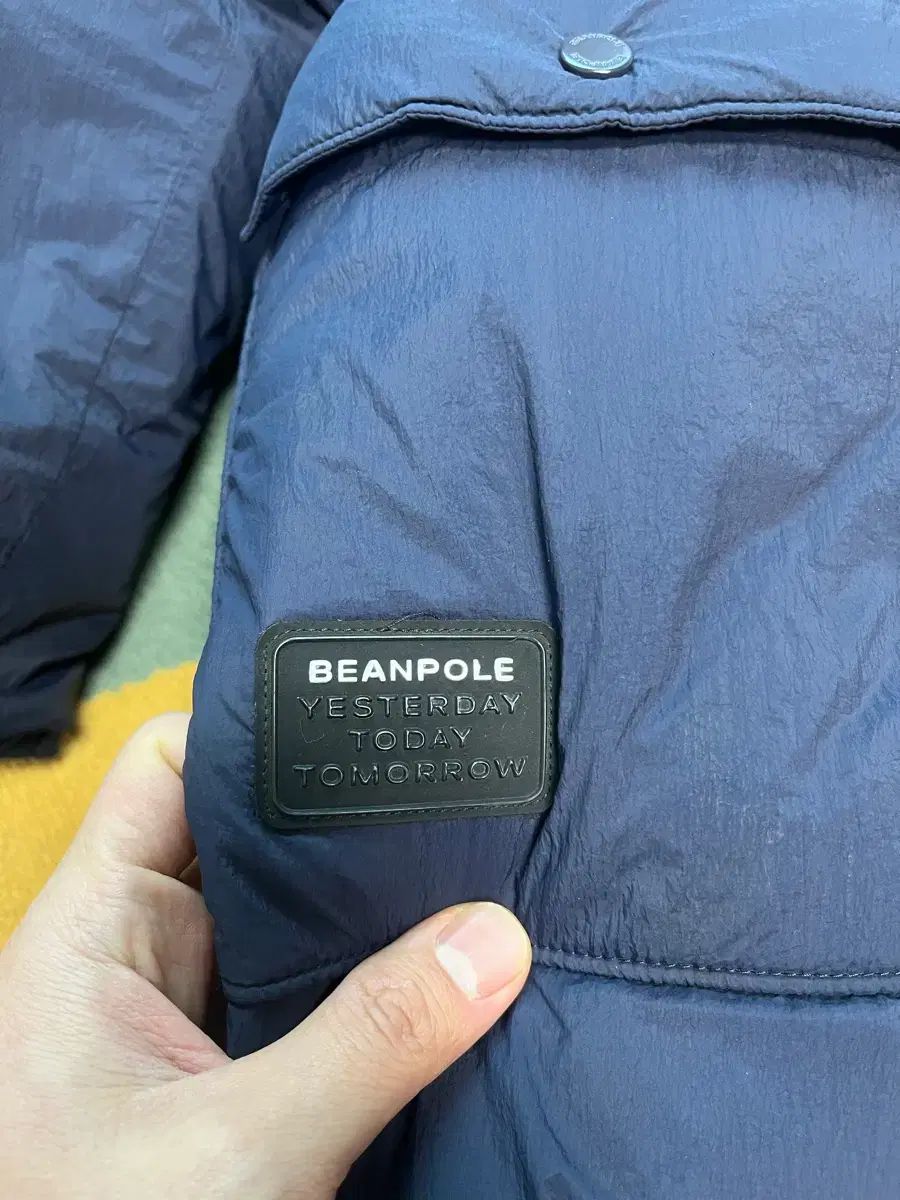 ビーンポール ダウン