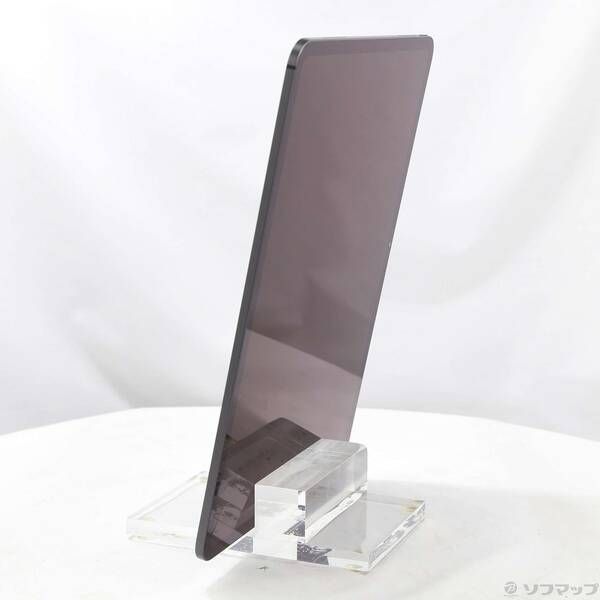 〔 品〕 iPad Pro 13インチ 第1世代 標準ガラス 256 GB スペースブラック MVX 23 J A Wi Fi 348