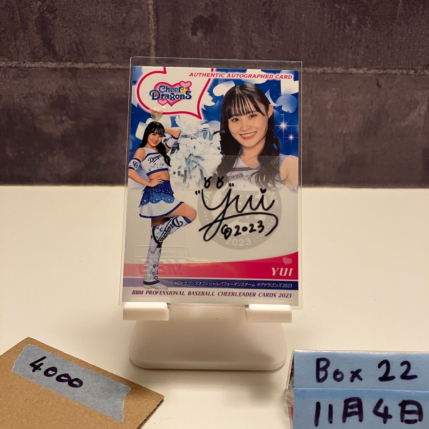 チアドラゴンズ YUKINO サイン柄 クッション 中日ドラゴンズ 新品未使用 チアドラゴンズ YUKINO サイン柄 クッション 中日ドラゴンズ 新品未