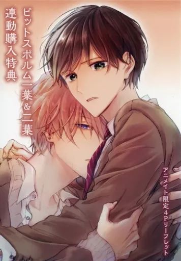 ピットスポルム 一葉・二葉 同時購入フェア とらのあな 4Pリーフレット 中古】アニメムック ≪リーフレット・小冊子≫ ピットスポルム 一葉