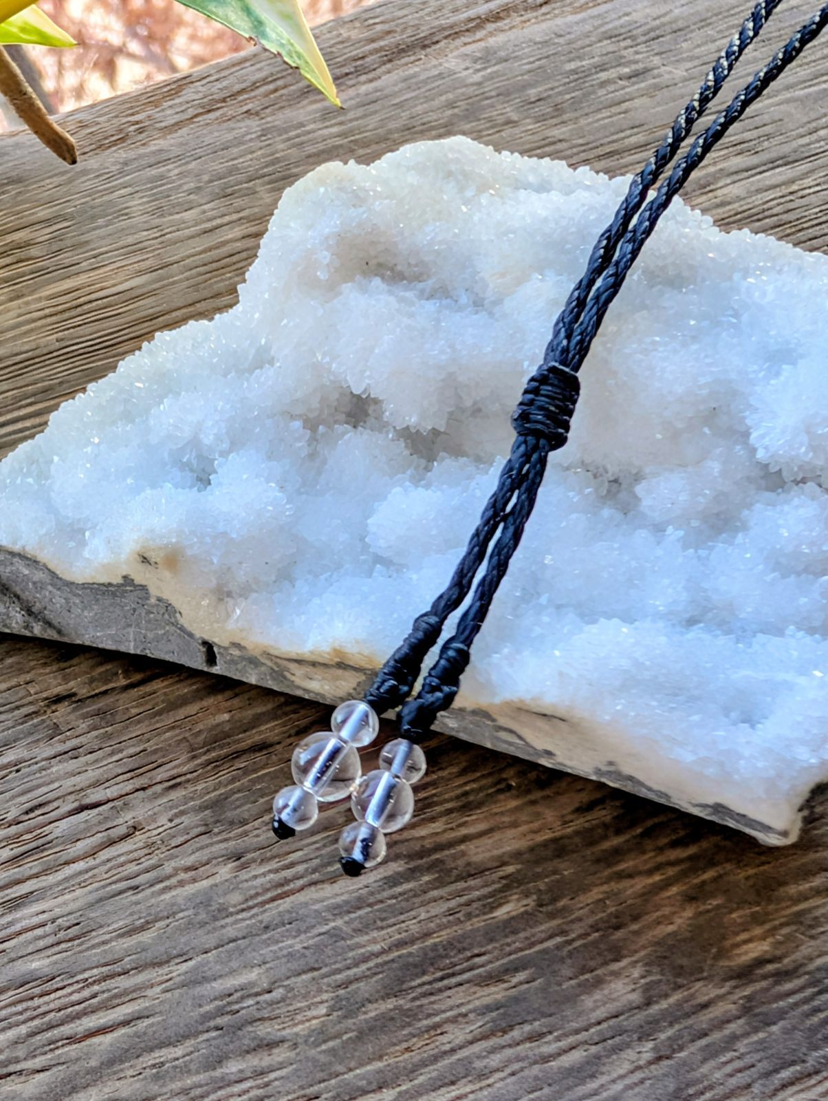 ダークブラウン アンモナイト