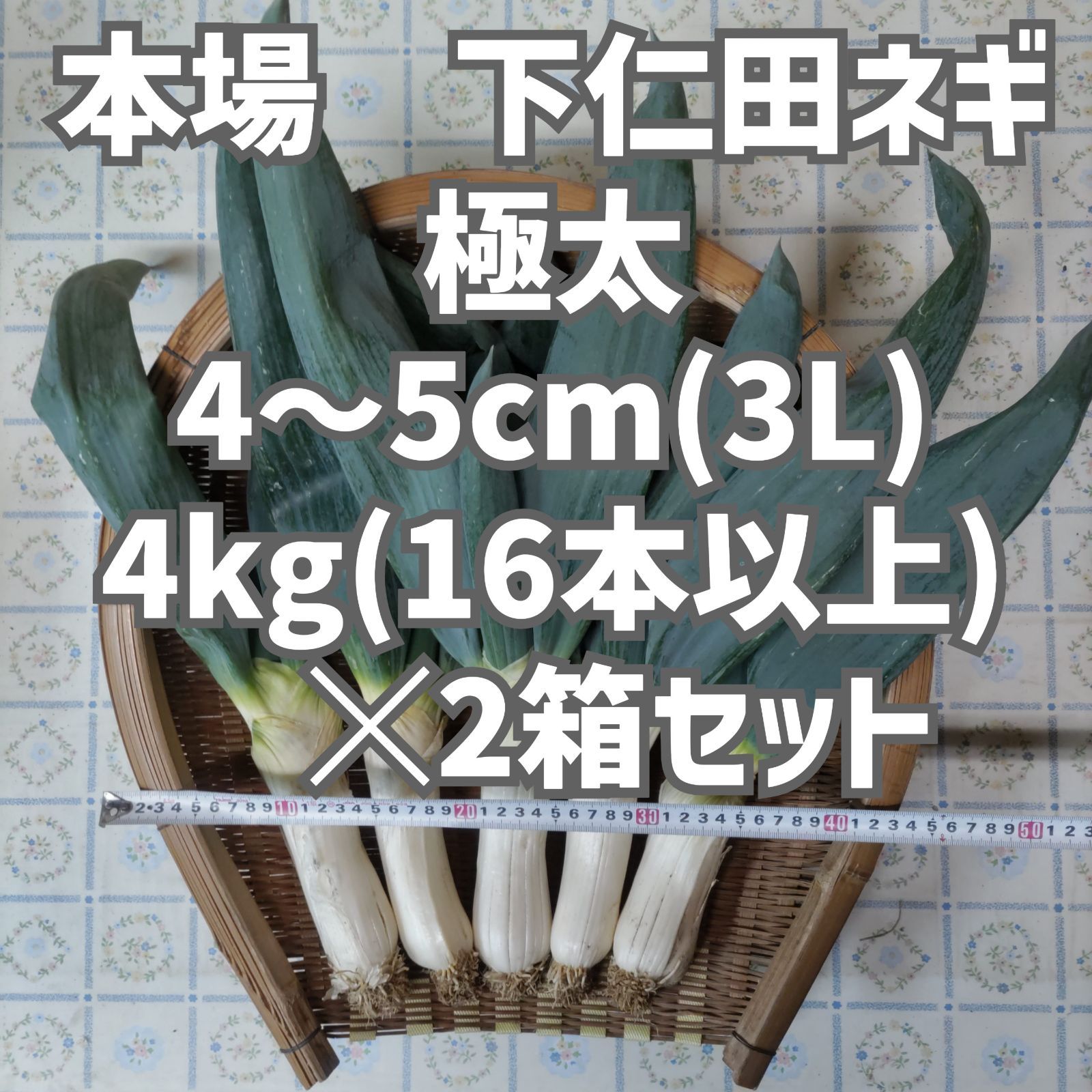 本場 下仁田ネギ ストア 極太 4kg☓2箱 下仁田ネギ【2L～3Lサイズ 4kg】 |