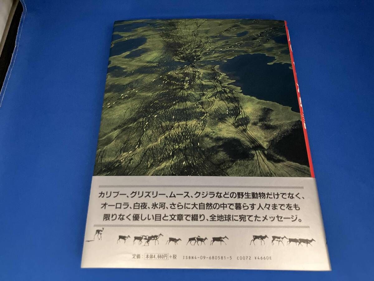 Alaska 風のような物語 星野道夫 - メルカリ