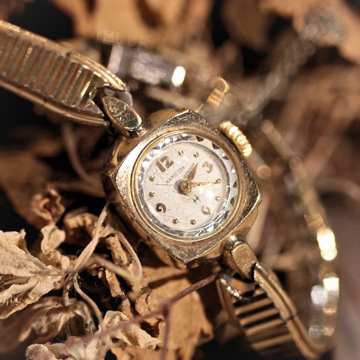 | ハミルトン ヴィンテージ カットガラス 腕時計 手巻き式 hamilton-674-10