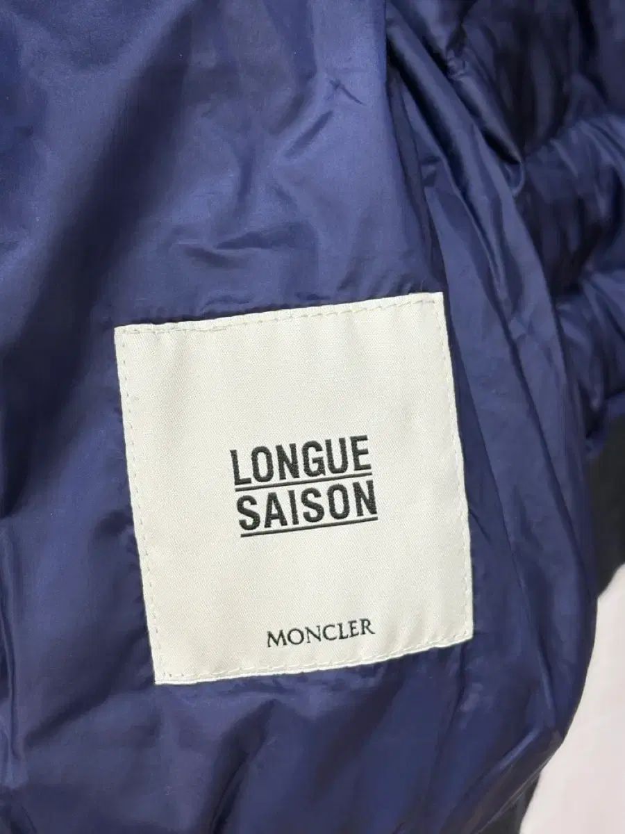 ネイビー ダウン