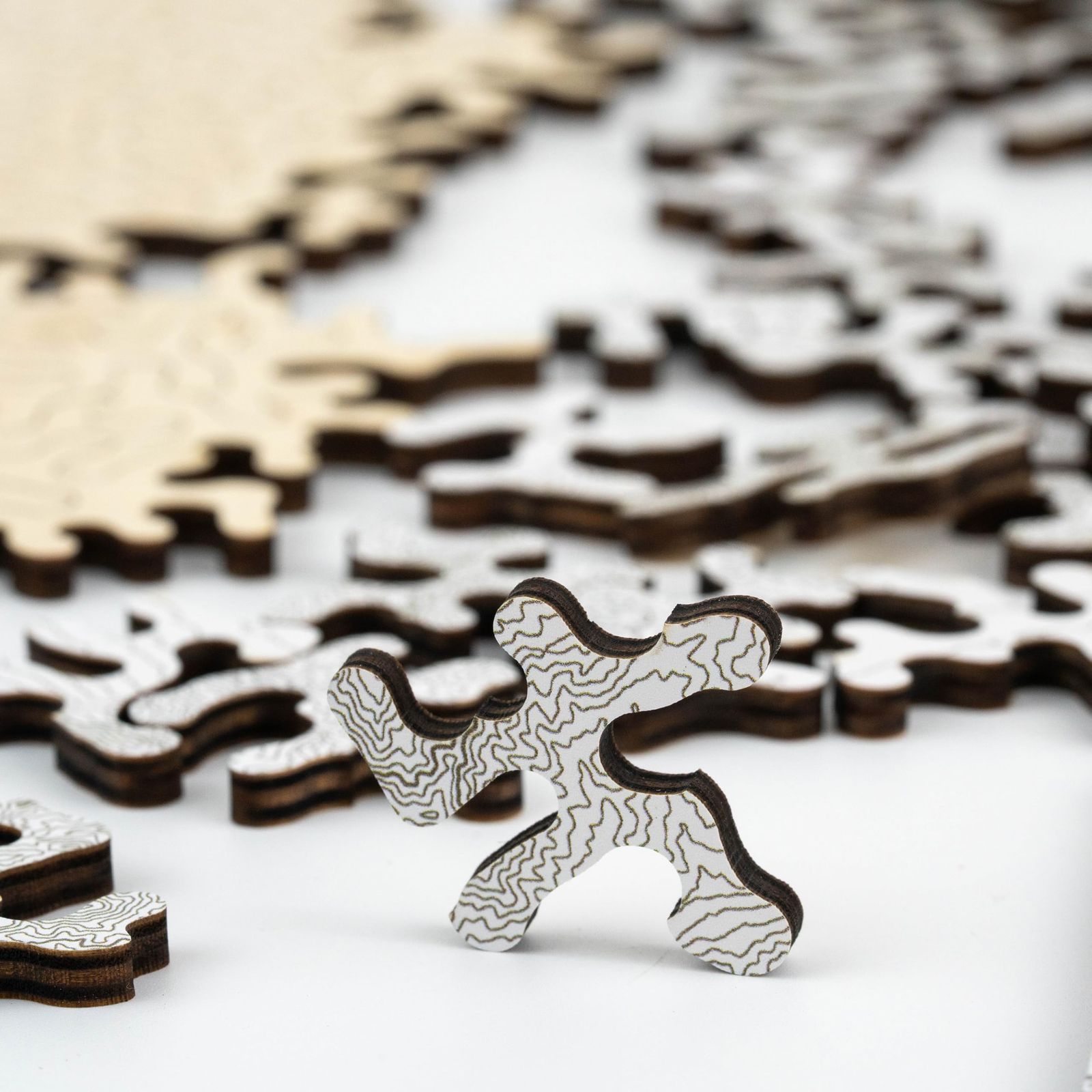 GEMTURT PUZZLE 富士山 Mt Fuji 木製ジグソーパズル Impossible インポッシブルパズル ユニークなピースの形 等高線による線画 300ピース 並行輸入品