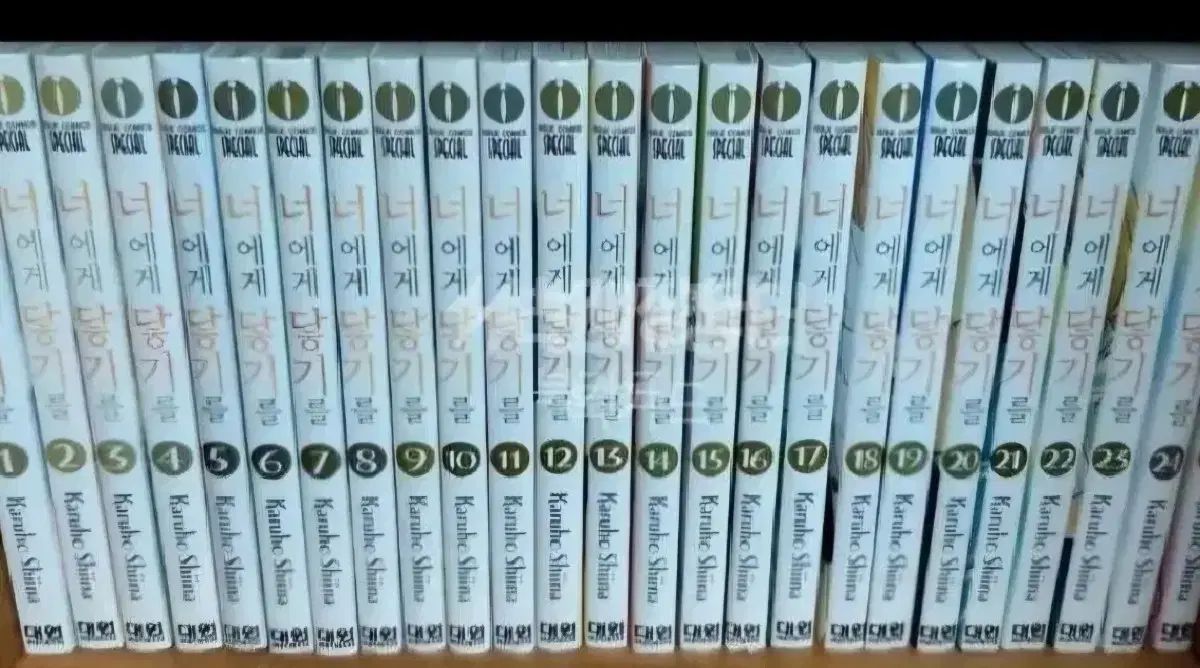 用 書籍 あなたに 君に届け 1 - 30 完 ファンブック 全 31 巻 完結