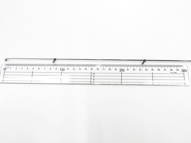 宇崎日新 インヴィクタ