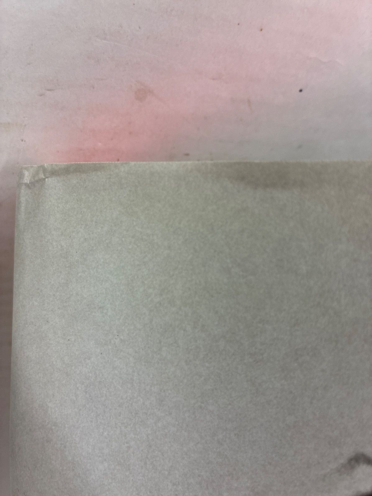  MONICA BELLUCCI モニカ ベルッチ 趣味 スポーツ 実用 本