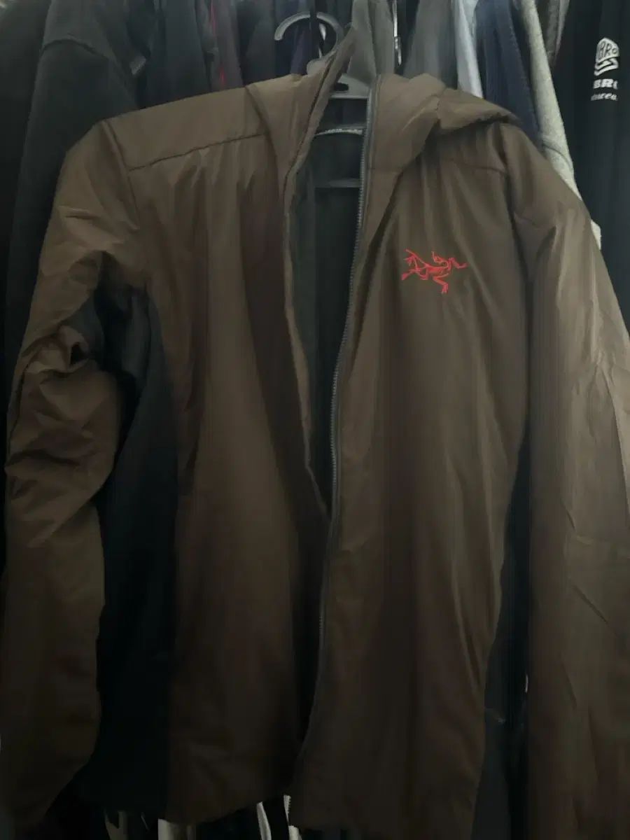 ARC TERYX アークテリクス Atom アトム WHO フーディ 茶色