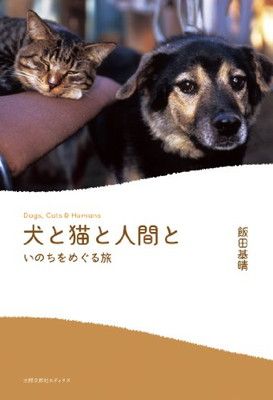 リアル猫と犬 ユズ様、ご購入用 アイトス TULTEX 56380 安全靴 防水 - 安全靴・作業着の