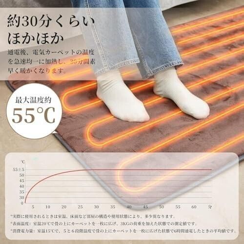 電気カーペット 1畳 180×80cm ダニ退治機能 電気毛布 敷き シングルp 電気カーペット 1畳 180×80cm ダニ退治機能 電気毛布 敷き シングル 6