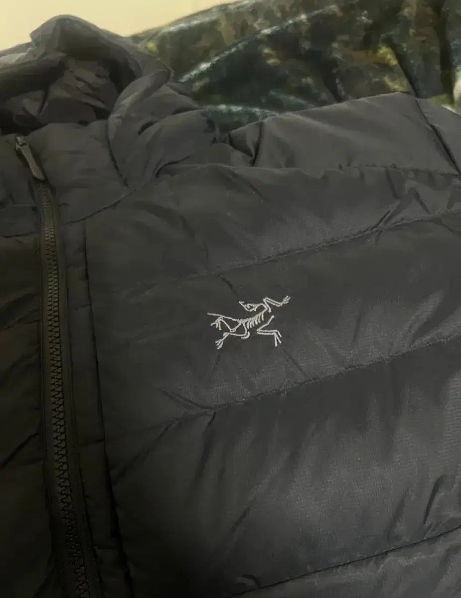 ARC TERYX アークテリクス トーリウム XL