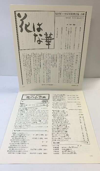 花材別いけばな芸術全集〈12〉柳・南天・葉蘭 主婦の友社 - メルカリ