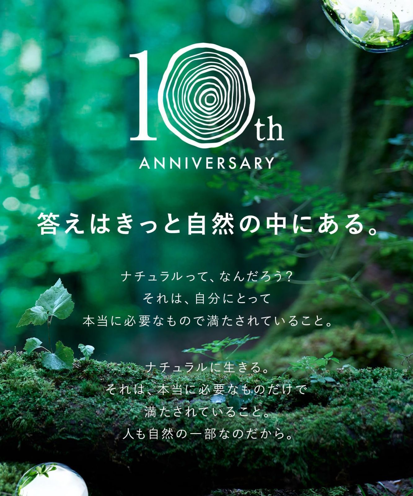 | シャンプー トリートメント ボタニスト セット 大容量 BOTANIST 詰め替え スムース