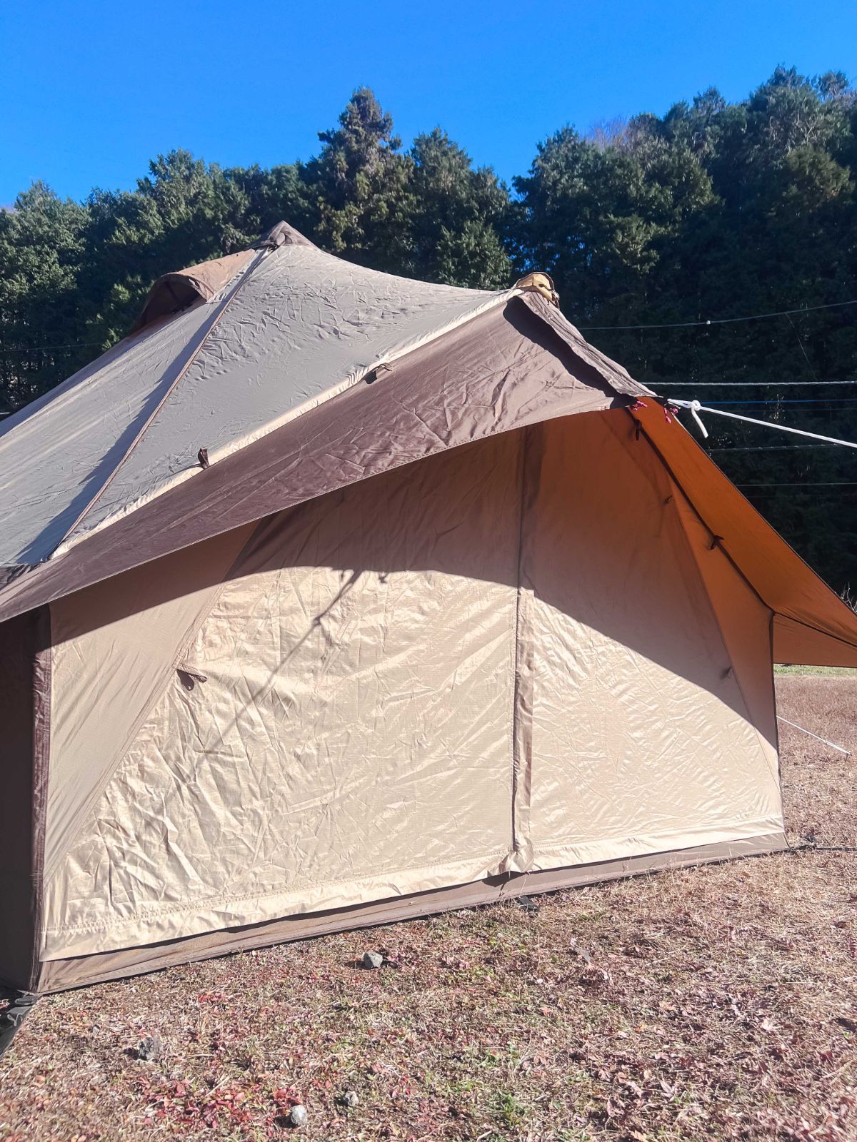 ogawa グロッケ8 ワンポールテントPVCマルチシート付き - メルカリ