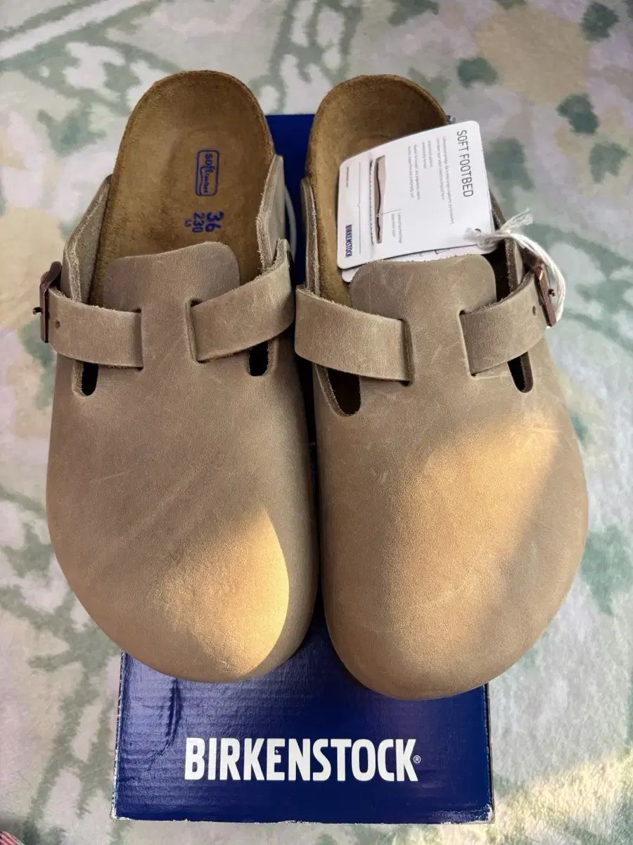 ボストン タバコ ブラウン 230 保有