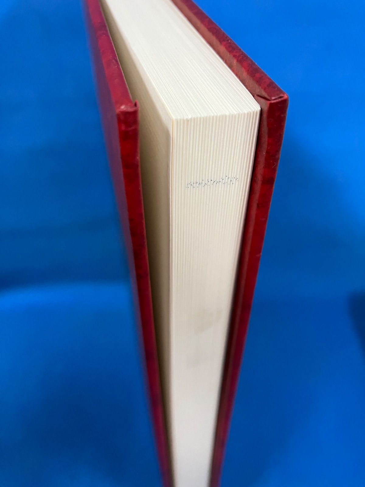 世界名曲大系 クラシックへの誘い』 向井正之 丸善 クラシック 音楽