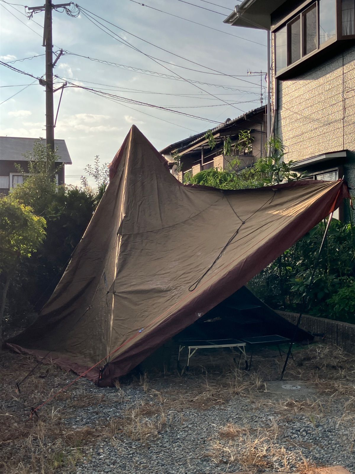 CIRCUS ST ピラミッドテント ブラウン Amazon | 【最終処分特価 17