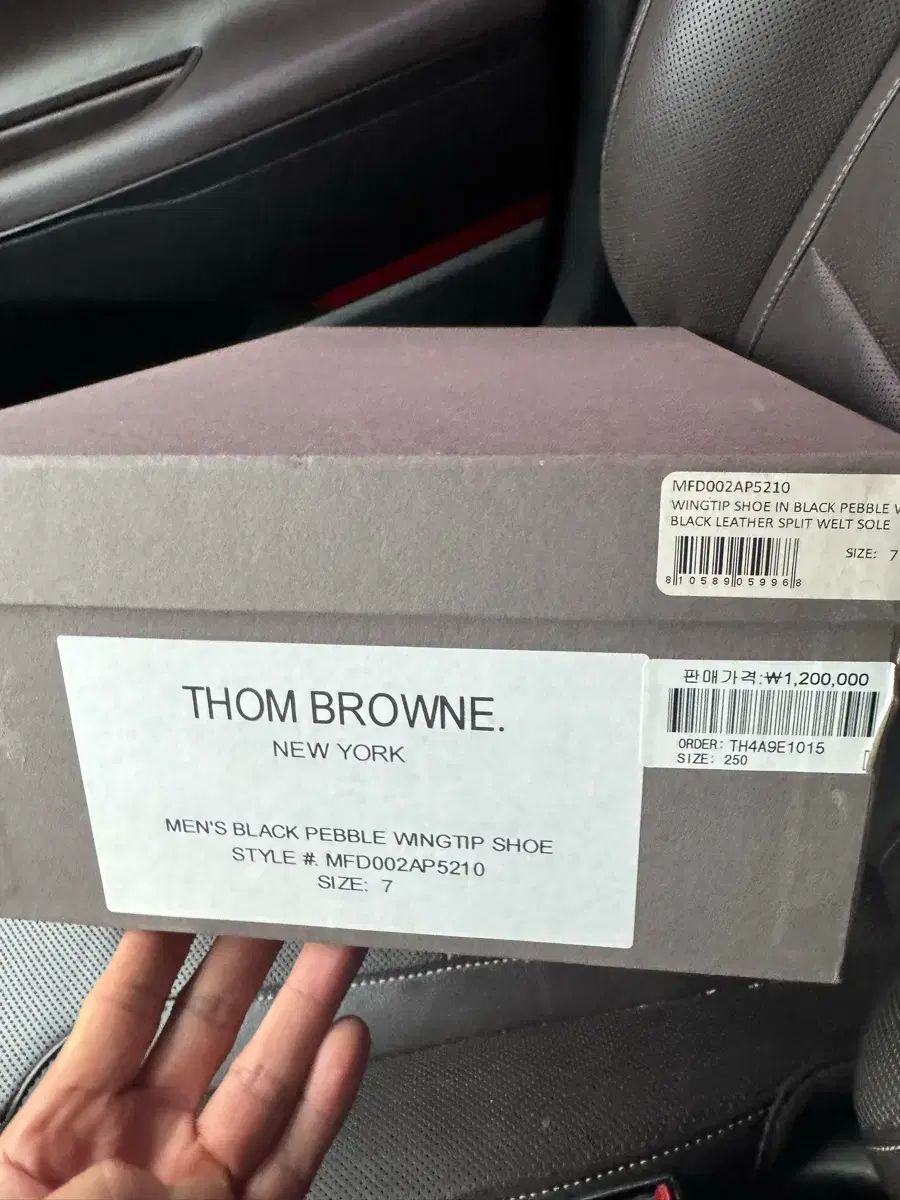 ウィングチップ 250