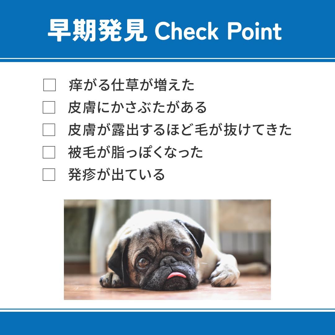 VetsWell(ベッツウェル) 犬用食事療法食 皮膚ケア 3kg [3kg] 【公式通販】