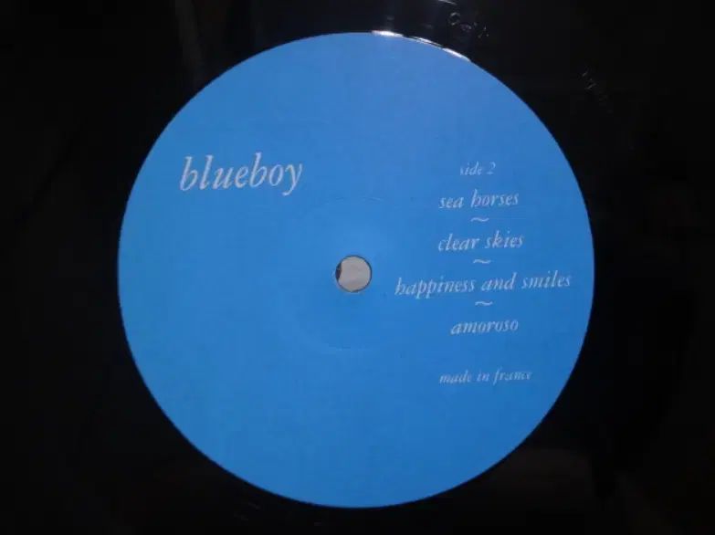 UK LP Blueboy ー 1992 年 早い Sarah Records