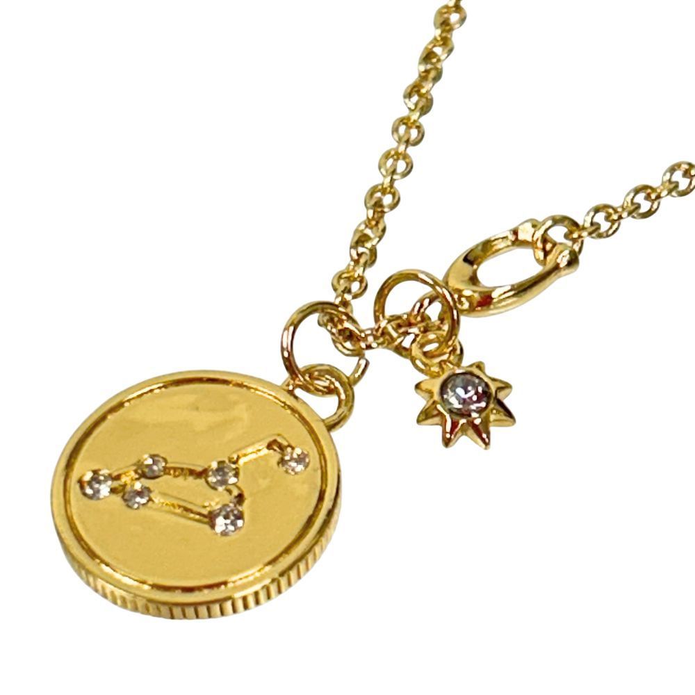 新品 コーチ COACH アクセサリー レディース 小物 ネックレス レオ 
