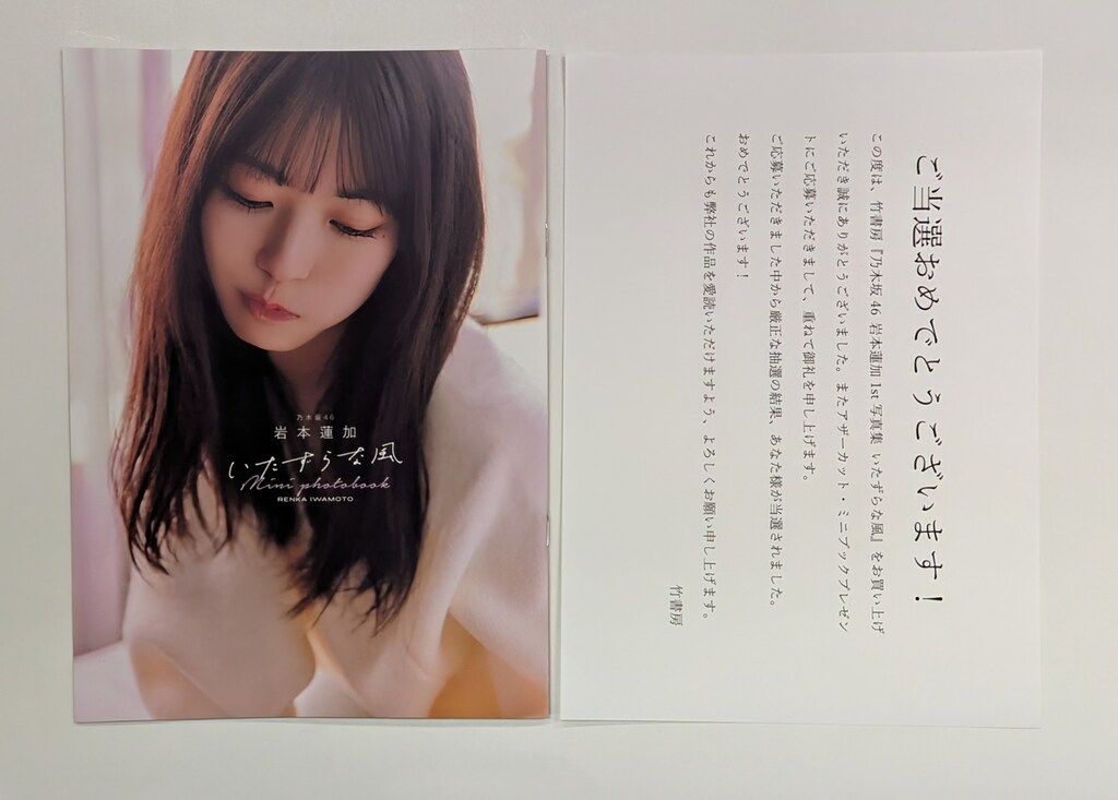 乃木坂46 岩本蓮加1st写真集アザーカット・ミニブック 乃木坂46 岩本蓮